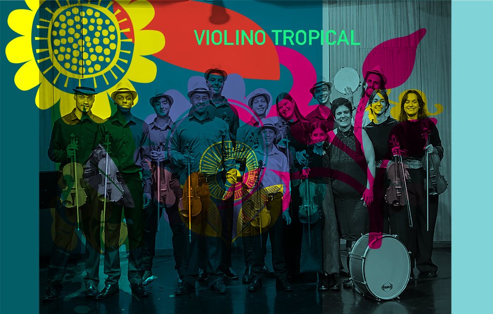 violino tropicale immagineweb